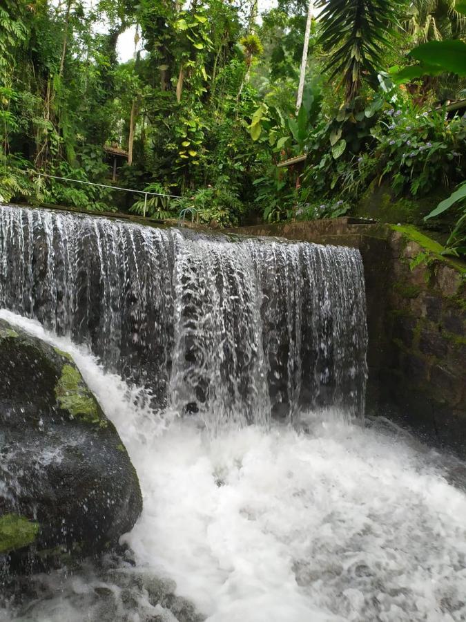 Toca Da Onca Penedo (Rio de Janeiro)